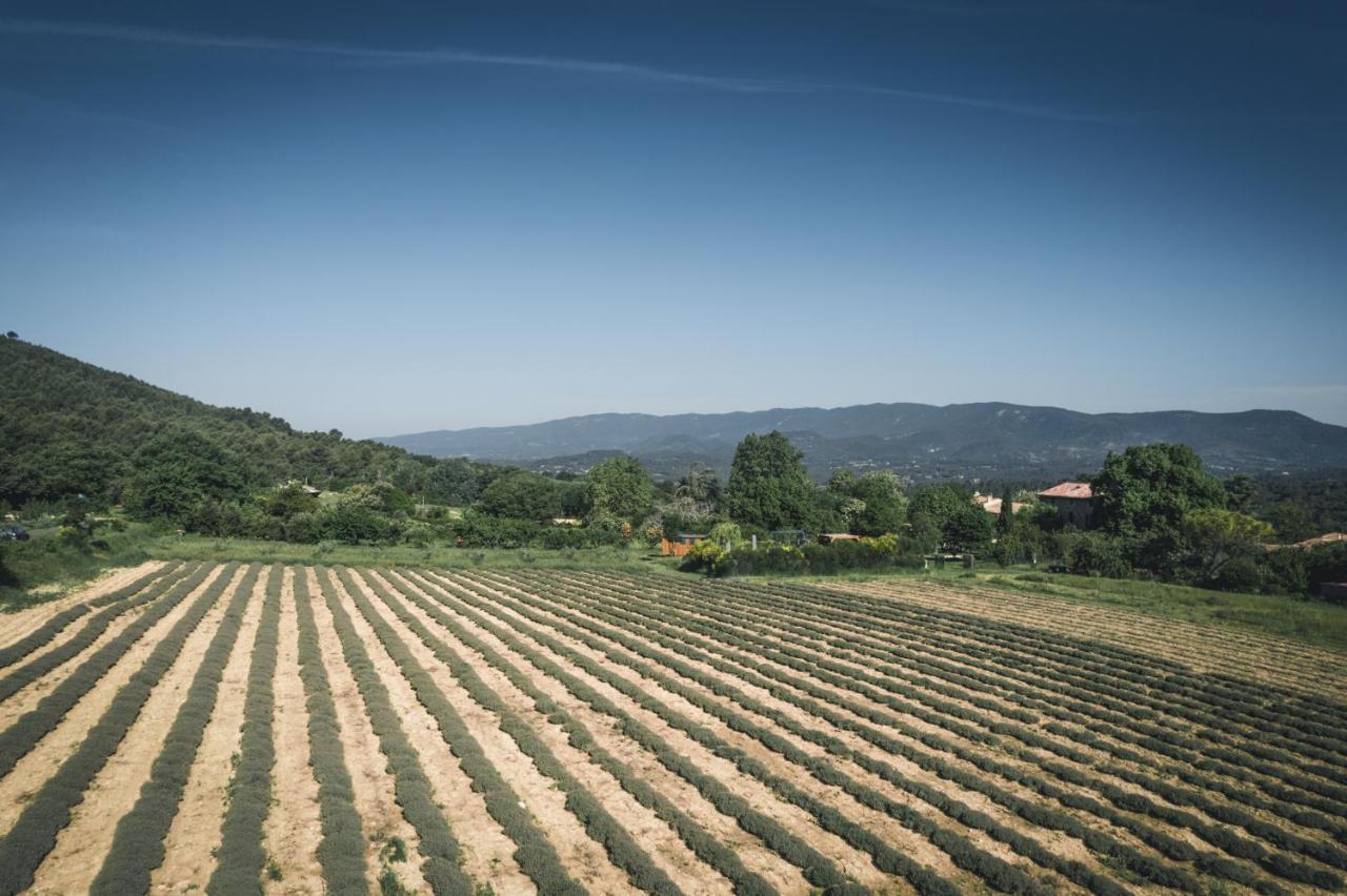 Studio Sud Luberon Grambois Exterior foto